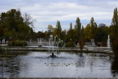 DSC_0570 (Large).JPG